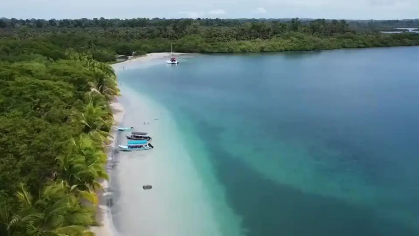 A wide curve of beach with palms and turquoise shallows