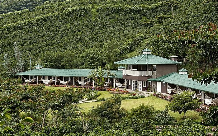 Coffee plantations in the highlands